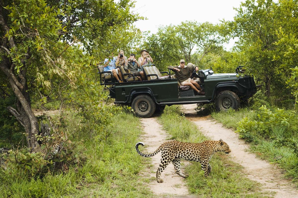 Explore Thjorneybush on a Luxury Safari South Africa